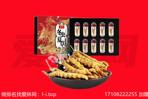 汕头南澳县回收虫草.jpg